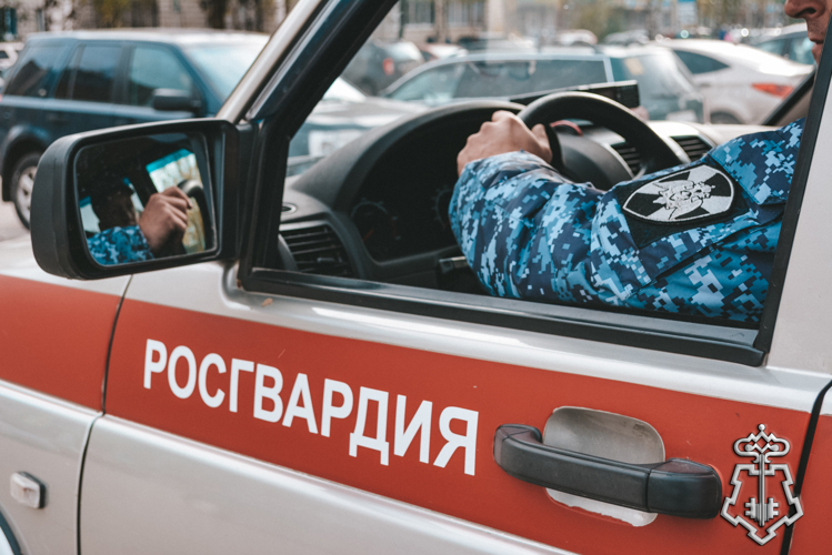 Фотогалерея