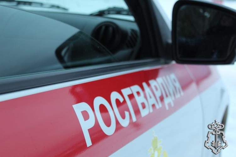 Сотрудники вневедомственной охраны Росгвардии пресекли правонарушения в увеселительных заведениях Сыктывкара и Усинска