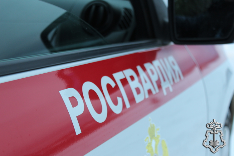 Сотрудники вневедомственной охраны Росгвардии пресекли правонарушения в Печоре и Воркуте