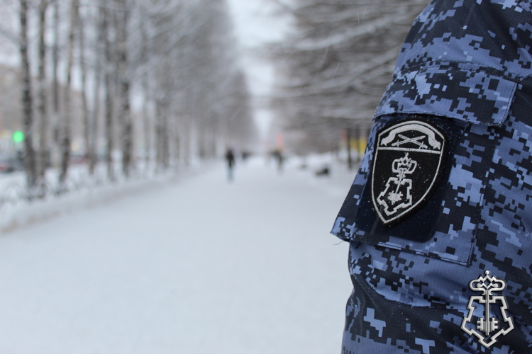 В Сыктывкаре сотрудники вневедомственной охраны пресекли попытку хищения товара из гипермаркета