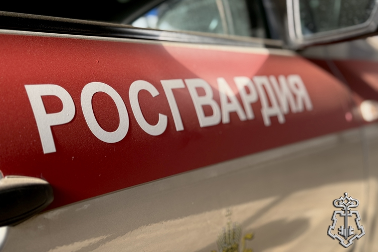 В Усинске росгвардейцы пресекли нарушения общественного порядка в увеселительных заведениях