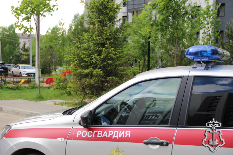 В Сыктывкаре росгвардейцы задержали мужчину после попытки выбить окно гостиницы