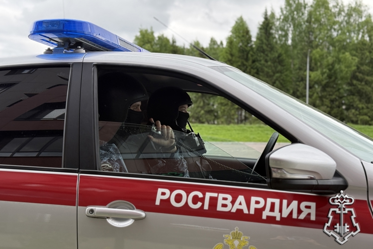Сотрудники вневедомственной охраны Росгвардии задержали нарушителей общественного порядка в Сыктывкаре и Воркуте