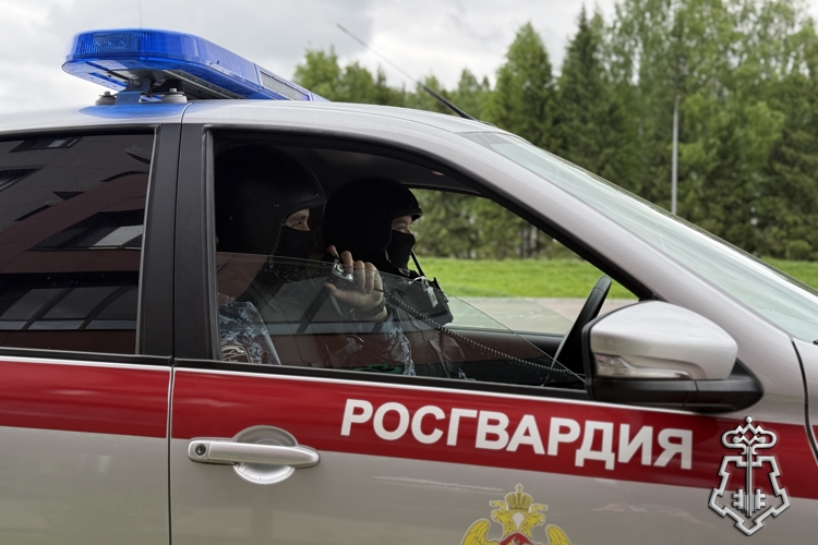 Сотрудники вневедомственной охраны задержали нескольких нарушителей в увеселительных заведениях Республики Коми