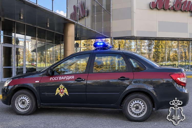 В Сыктывкаре сотрудники вневедомственной охраны задержали подозреваемую в крупном хищении товаров из гипермаркета
